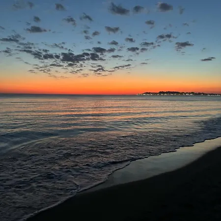 Royal Golem (Tirana)